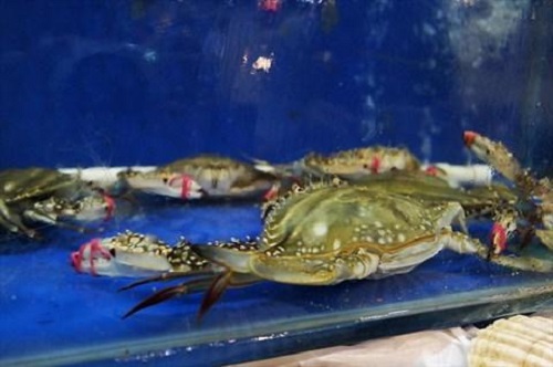 防騙在行動，手工之家提醒大家買海鮮注意這幾點，可以不上當受騙