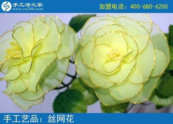 你見過這么漂亮的絲網(wǎng)花嗎？純手工制作廢物利用 花的世界花的海洋！(圖4)