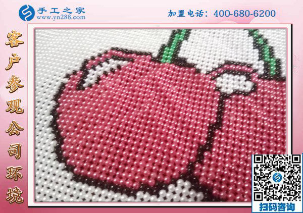 手工之家&mdash;&mdash;雅薇麗珠繡成品實拍