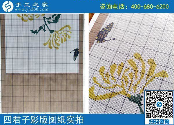 手工之家雅薇麗珠繡圖紙（梅蘭竹菊）新款，彩色升級(jí)版！(圖4)