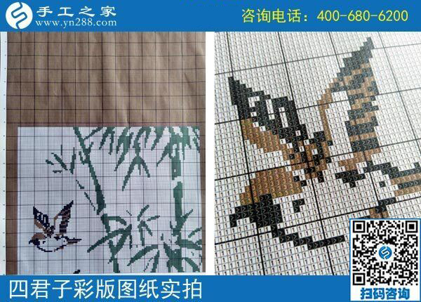 想在家掙錢，四川綿陽劉女士為什么選擇干這個，真的能掙錢嗎？