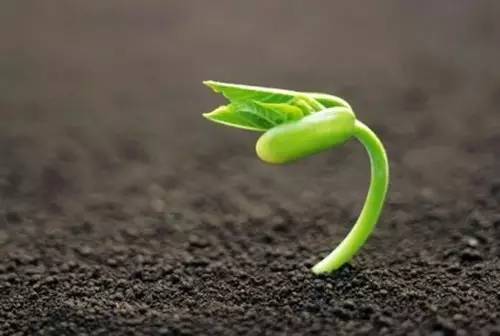 同樣在做，為什么有的微商不掙錢，有的掙錢、有的掙大錢？(圖3)