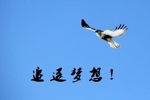 追夢路上，付出和堅守就是成功的秘訣-------手工之家新疆阿克蘇地區(qū)某加工會員成長記(圖1)