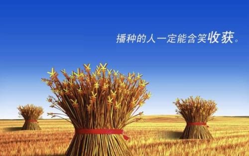 （干貨）分享：判斷在家做的手工活加工項(xiàng)目的正規(guī)性，這幾個(gè)角度要注意(圖3)