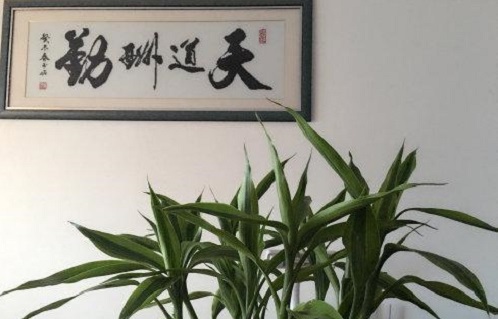 （干貨）分享：判斷在家做的手工活加工項(xiàng)目的正規(guī)性，這幾個(gè)角度要注意(圖5)