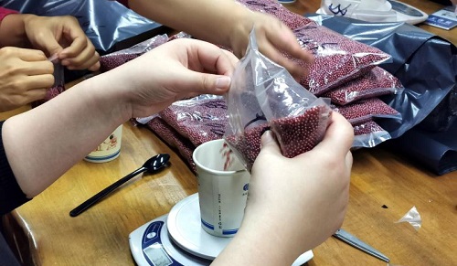 加班到夜里十點(diǎn)，要讓珠繡外發(fā)材料盡快到加工人員的手中(圖5)