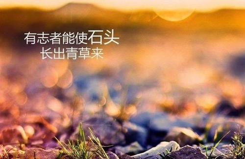 做微商賺不到錢？你是不是犯了這個錯誤(圖1)