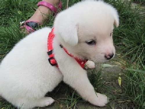 防騙在行動(dòng)，手工之家提醒大家，生活中這些“”的騙局要知道(圖3)