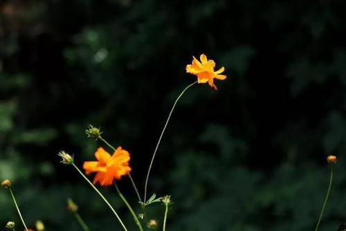 做微商與做人一個道理，要想成功，千萬不要做這樣的事(圖1)