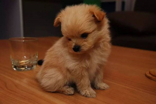 防騙在行動(dòng)，手工之家提醒大家，常刷短視頻，這些詐騙套路要知道