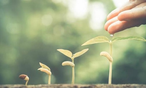 做微商，要學(xué)會利用零碎時間學(xué)習(xí)進步，利用好下班后的時間(圖3)