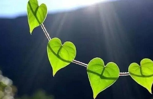 做微商，如何掌握必要的銷售技巧？(圖2)