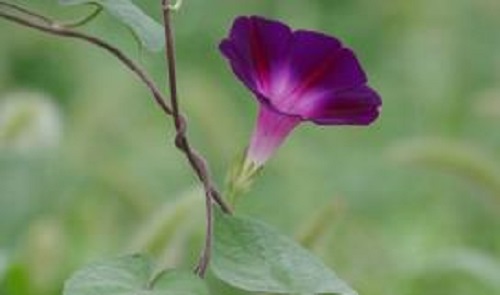 做微商，如何做一個(gè)他人喜歡的微商關(guān)系很大(圖2)