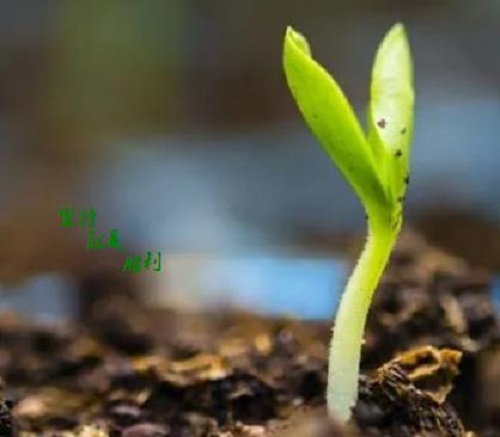 這五點(diǎn)銷售心理做好了，微商也就會(huì)越來越成功(圖1)