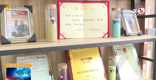 用心去種，才能成就一棵能擋雨納涼的大樹(shù) --- --- 手工之家植樹(shù)節(jié)有感