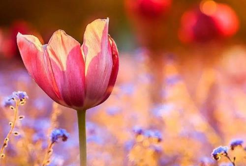 微商要想多掙錢，就要掌握這幾個成交技巧(圖4)