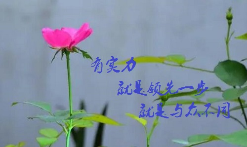 手工活接單正規(guī)平臺，有實力的手工廠家是啥樣的？