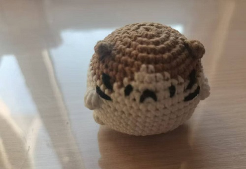 貓咪團(tuán)團(tuán) (1).jpg