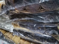 9月21日，可靠的手工活外發(fā)，正規(guī)手工活大批量外發(fā)加工，要做好手工之家的珠繡串珠手工，這幾點很重要，圖為勵志珠珠繡串珠手工產(chǎn)品剪影