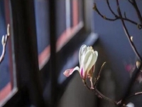 防騙在行動(dòng)，手工之家提醒，這些人容易上當(dāng)受騙