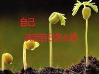 能在家做的手工副業(yè)，你是否能做純手工項目掙錢？