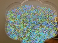 10月9日，手工活從哪里找廠家，想接正規(guī)廠家的手工項目，開飾品加工廠，手工之家的串珠純手工的優(yōu)缺點，圖為串珠手工材料珠子剪影