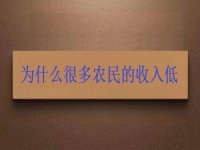 為什么很多農(nóng)民的收入低？這2點(diǎn)做好了，在家兼職手工活收入是杠杠滴