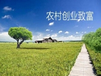 新型農(nóng)村創(chuàng)業(yè)小項(xiàng)目，會(huì)拍短視頻就能賺錢，兼職副業(yè)都可以做