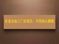 在家辦加工廠好項(xiàng)目，農(nóng)村創(chuàng)業(yè)開(kāi)飾品加工廠，大家不用擔(dān)心產(chǎn)品銷(xiāo)路