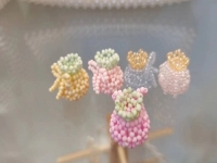 外發(fā)手工領(lǐng)回家做，串珠純手工了解清楚后會(huì)長期做