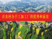 發(fā)掘農(nóng)村優(yōu)勢(shì)，讓返鄉(xiāng)創(chuàng)業(yè)開手工加工廠成為更多人掙錢增收的好辦法