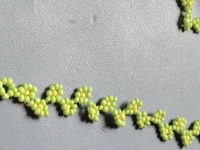 7月19日，附近有沒有兼職手工活，在家做的手工副業(yè)，開手工加工廠，做手工傳承官，在手工之家，每一種合作都有成熟的服務(wù)和支持，圖為串珠米珠繡純手工產(chǎn)品剪影