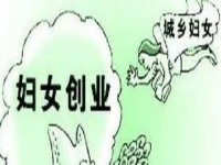 農(nóng)村創(chuàng)業(yè)、城市創(chuàng)業(yè)，家庭主婦等女士做手工傳承官都是自帶優(yōu)勢
