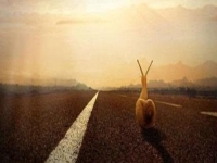 沒經(jīng)驗(yàn)沒基礎(chǔ)怎么賺錢？因?yàn)槭杖牒?，選擇做手工傳承官，在家就業(yè)創(chuàng)業(yè)的人很多