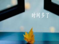 開學(xué)季，做手工傳承官掙錢的家庭婦女、寶媽等女士更多了，因?yàn)橛袝r(shí)間、能掙錢