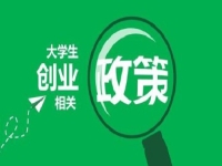 大學生輕資產(chǎn)創(chuàng)業(yè)，做手工傳承官,讓優(yōu)勢更有優(yōu)勢