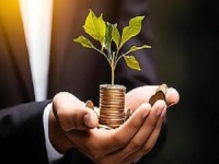 一個人就能在家掙錢的事兒，不用投什么錢的手工小生意咋樣？