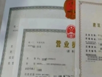 2025年要做的小成本創(chuàng)業(yè)項目，開純手工加工廠掙錢不會倒閉，能長期做下去