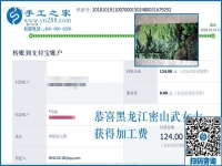 這個(gè)彩珠繡串珠手工活真是正規(guī)供料的手工活。黑龍江密山武女士說