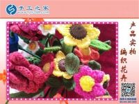 手工之家毛線編織花卉展示，一種居家裝飾的傳統(tǒng)唯美藝術(shù)