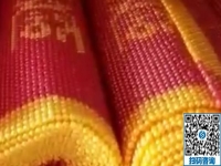 做手工活加工事業(yè)，沒有任何門檻，男士也很青睞