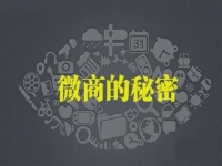 做微商怎樣才能賺到錢，行業(yè)大佬說(shuō)建設(shè)銷售體系很重要