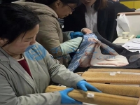 在家庭工作做手工活外接串珠子，常年輕松快樂把錢賺